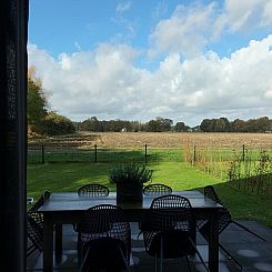 Vakantiehuisje in Wijnjewoude