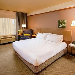 Hilton Garden Inn Rochester Downtown