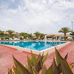 Los Robles Verdes