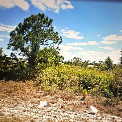 Kavel in Lehigh Acres