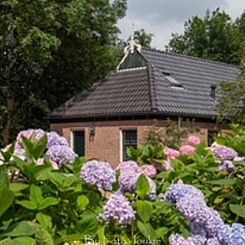 Vakantiehuis in Ferwert