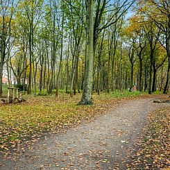 Appartement "Kamp" - 1km to the fjord