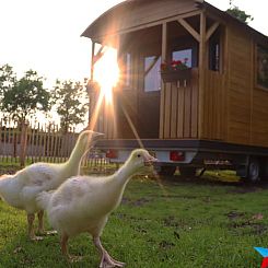 Vakantiehuis in Opheusden