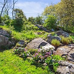 Vakantiehuis "Henric" - 75m from the sea