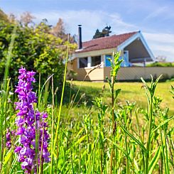 Vakantiehuis "Henric" - 75m from the sea