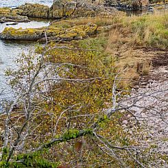 Vakantiehuis "Caren" - 75m from the sea