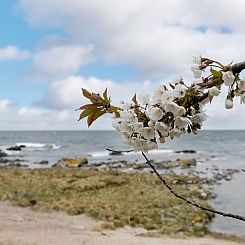 Vakantiehuis "Ensio" - 150m from the sea