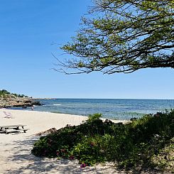 Appartement "Steffi" - 300m from the sea
