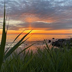 Vakantiehuis "Scarlet" - 5m from the sea