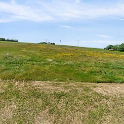 Appartement "Lacey" - 4km from the sea