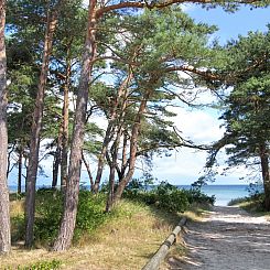 Vakantiehuis "Virpi" - 8km from the sea