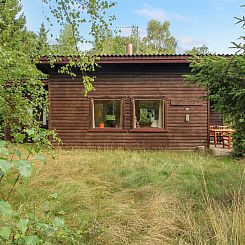 Vakantiehuis "Reinke" - 450m from the sea