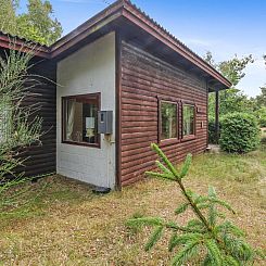 Vakantiehuis "Reinke" - 450m from the sea