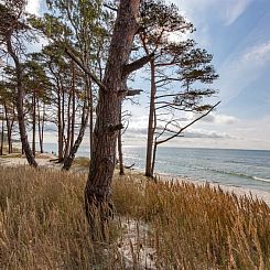 Vakantiehuis "Hildegerd" - 500m from the sea