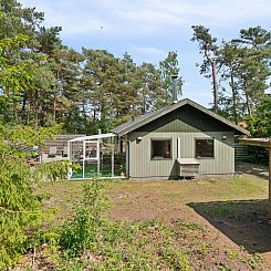 Vakantiehuis "Adelbrand" - 400m from the sea