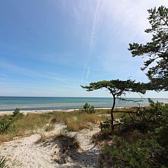 Vakantiehuis "Alita" - 300m from the sea