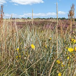 Vakantiehuis "Anarosa" - 200m from the sea