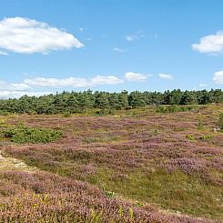 Vakantiehuis "Anarosa" - 200m from the sea