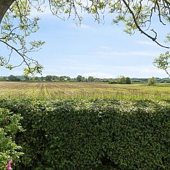 Appartement "Esbern" - 6km from the sea