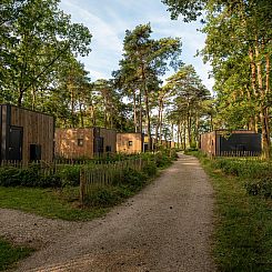 Vakantievilla Boslodge 2 met sauna