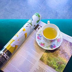 Vakantiehuisje in Joppe