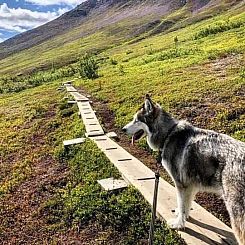Sonfjällsgårdens Wärdshus & Hotell