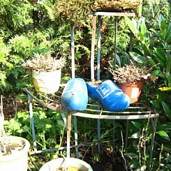 Stacaravan op de Veluwe