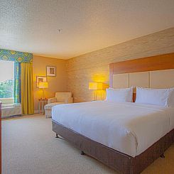 Holiday Inn & Suites Spring - The Woodlands
