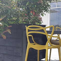 Vakantiehuisje in Heerde