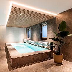 Veluwe Villa met Privé Binnenzwembad & Sauna | 8 personen