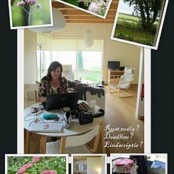 Chalet Wildemansheerd
