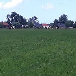 Vakantiehuis in Leens