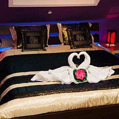 B&B Kookhai