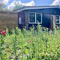 Huisje in Lauwersoog