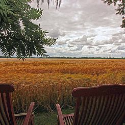 Vakantiehuis in Sellingen