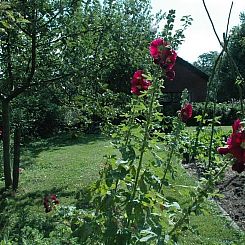 Huisje in Zevenhuizen