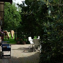 Vakantiewoning “in de Boomgaard” met open haard