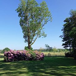 Vakantiehuisje in Luyksgestel