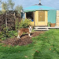 Vakantiehuisje in Liempde