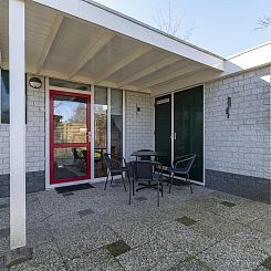 Campanula 52 Sint Maartenszee