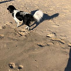 Vakantiehuis "Casa Juliana" mit privatem Garten