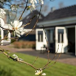 Vakantiehuis in Breezand