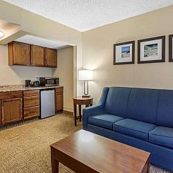 Comfort Inn St Petersburg North