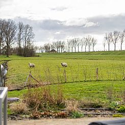 Vakantiehuisje in Zuidoostbeemster