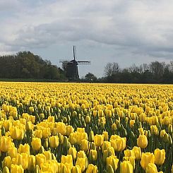 Vakantiehuisje in Aartswoud