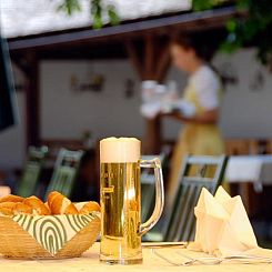 Hotel Moosleitner