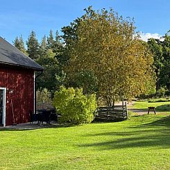 Vimmerby Stugby