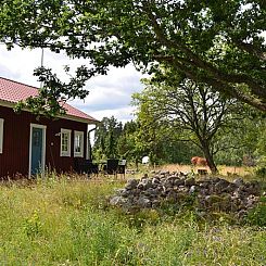 Vimmerby Stugby