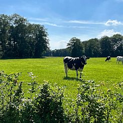 Vakantiehuisje in Agelo