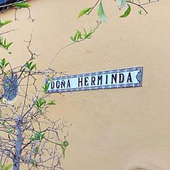 Casa Rural Doña Herminda